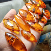 Cognac Amber Marquise Shape Cabochons